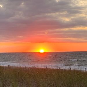 Meet your Posher, Marie